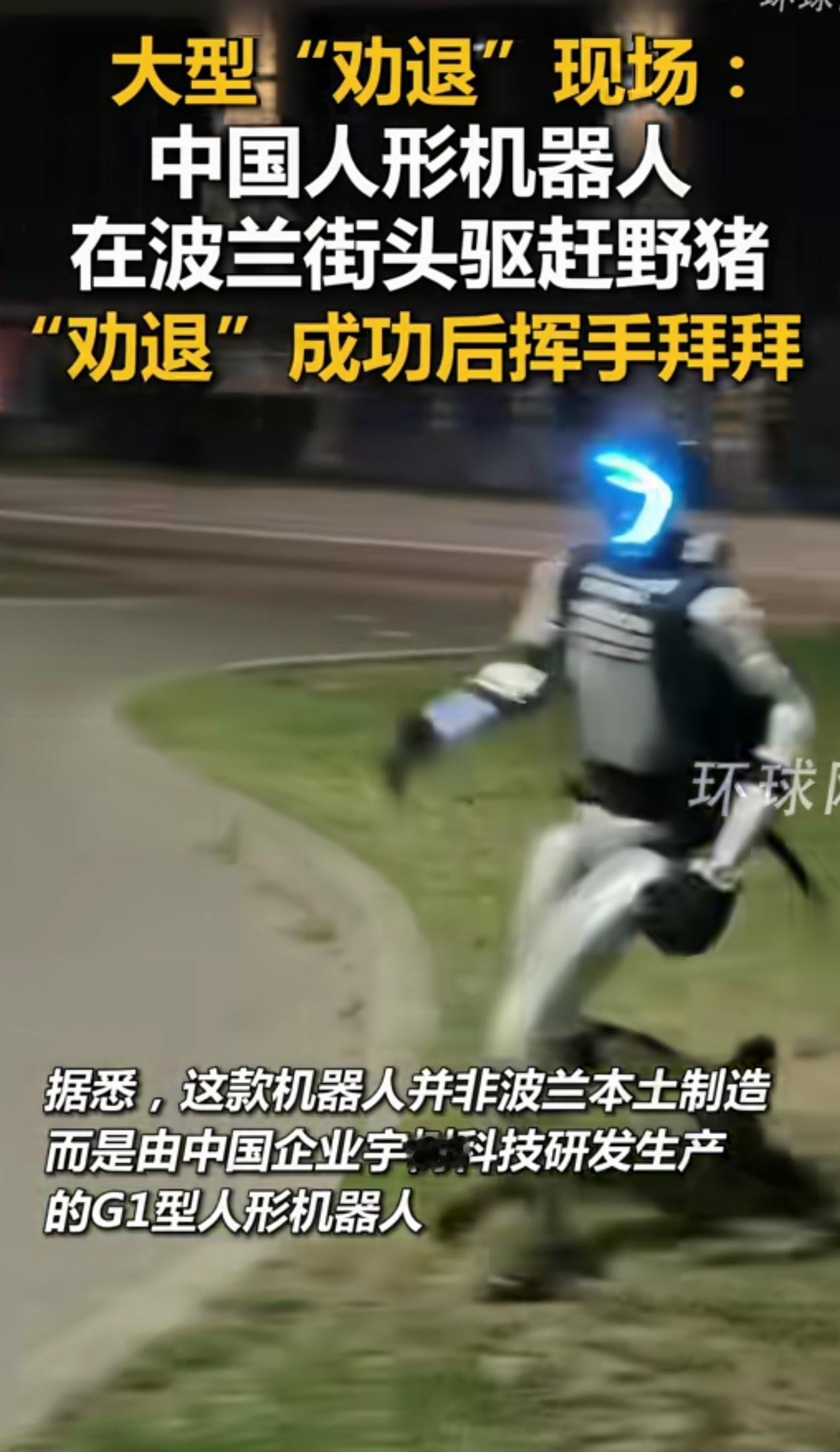 太硬核了！波兰华沙，三只野猪大摇大摆地走上了街道，街上的人都不敢靠近，就在这个时