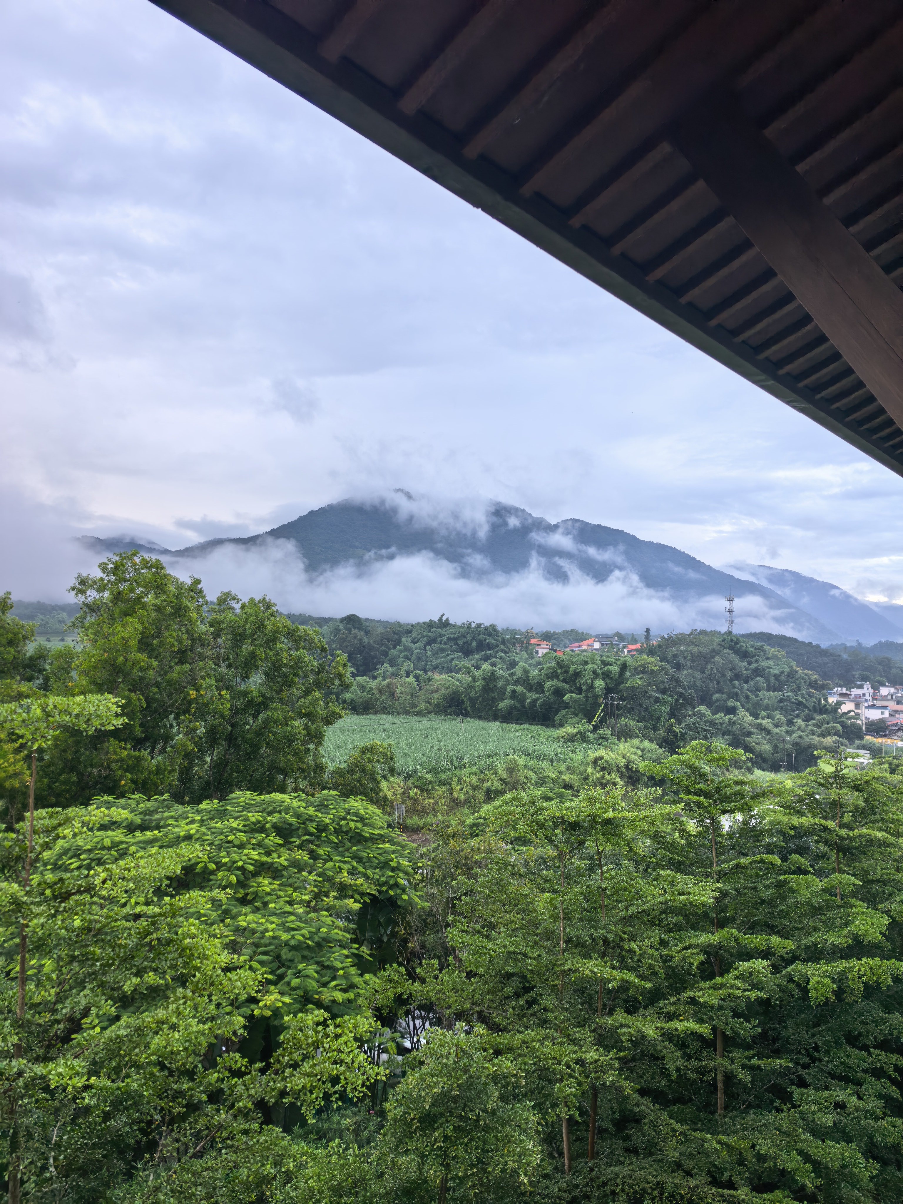 早上好，芒市的活螃蟹和洗头这次没体验，你们有机会的可以去体验一下 