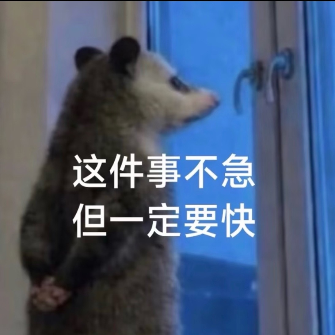 分享图片 