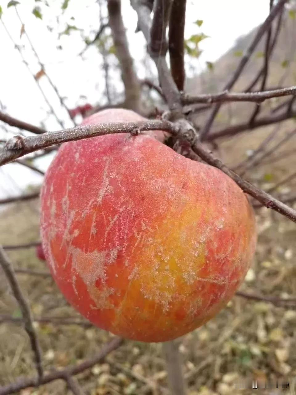 “万物之始，大道至简”。所有最本质，最纯粹，最美好的事物，都是最简单的。

只有