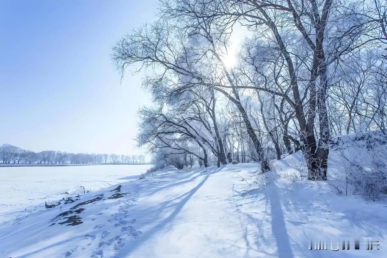 五律：雪景
大地从头白，山河入梦萦。
园林花失色，故国雪多情。
玉砌千般美，冰融