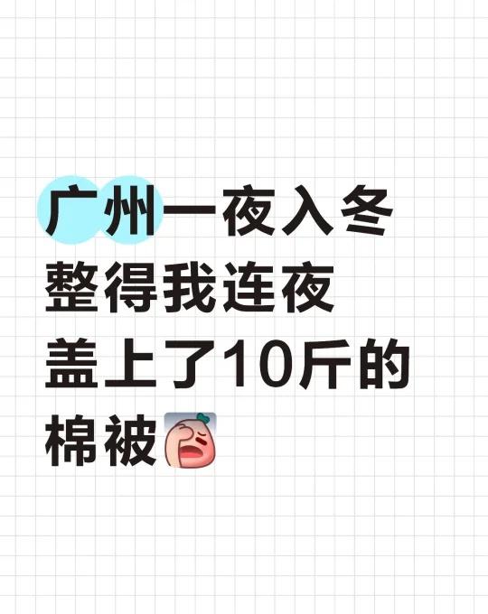 有人跟我一样，盖上10斤棉被了吗
冬天的被子 广州降温