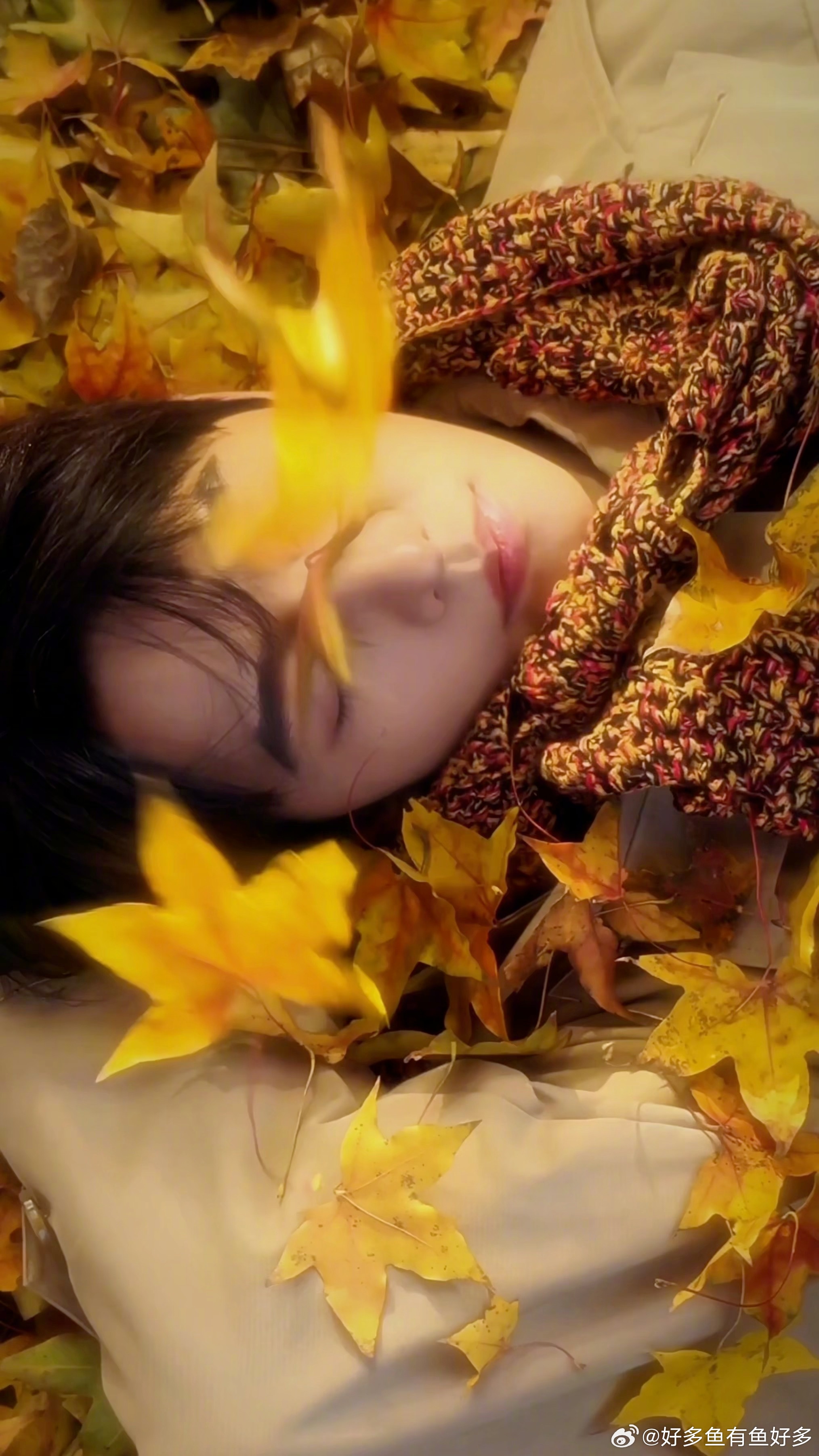 杨洋刷新了我的手机颜值 动态杨洋壁纸也太绝了！解锁屏幕就见鲜活模样，视角代入感拉