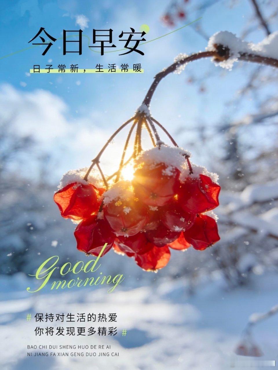 冬日的阳光裹在身上，像妈妈的手轻轻摩挲，暖乎乎的触感从皮肤渗进心底，满是安心～ 