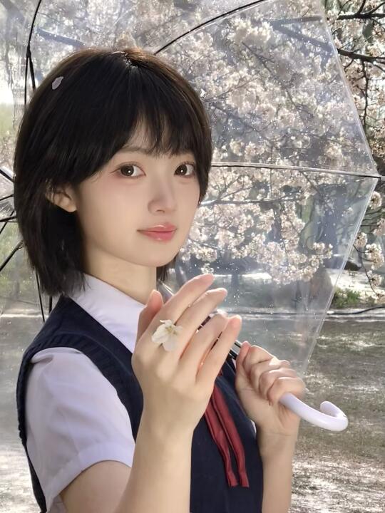 樱花飘落的速度是秒速五厘米🌸