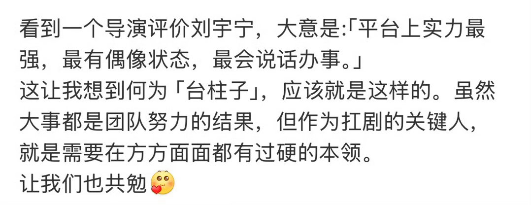 这样的刘宇宁 受到欢迎，受到喜欢，受到肯定，可见实力有多强！打铁还需自身硬的道理