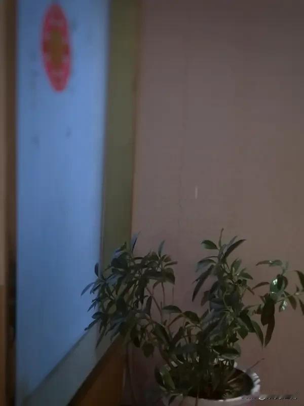 我认为，做人做事，诚、敬、信与“安”都至关重要。先说“诚”，“诚”意味着言出必行