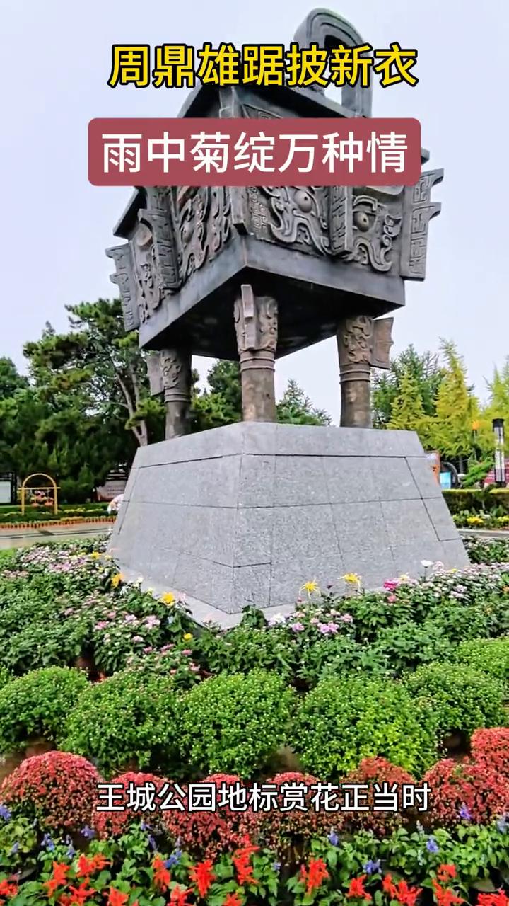 周鼎雄踞披新衣，雨中菊绽万种情。王城公园地标赏花正当时。