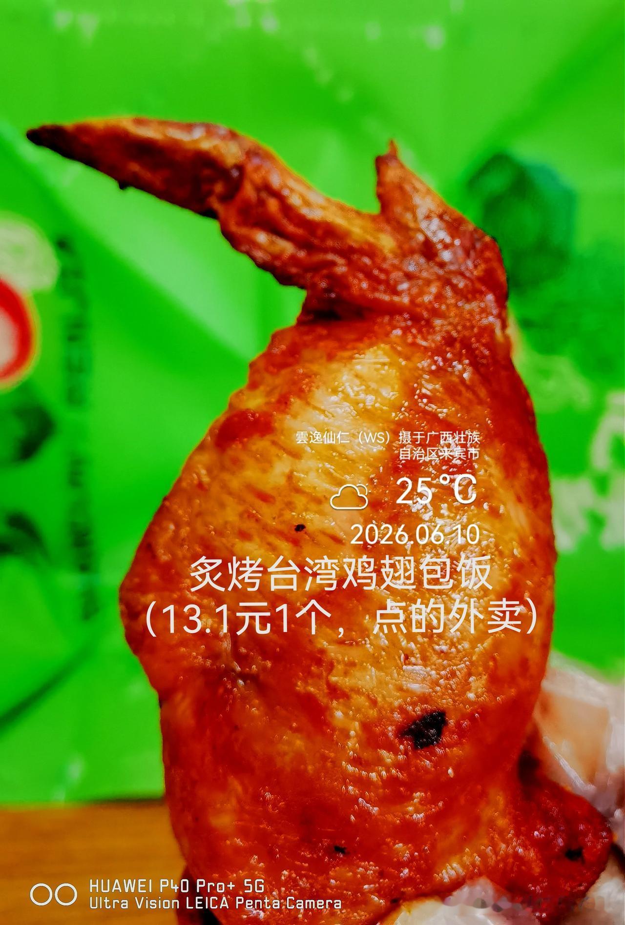 月居生活记录（9877）广西壮族自治区来宾市（102）品尝小吃44：炙烤台湾鸡翅