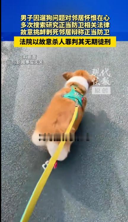 “太偏执！”内蒙古锡林浩特，一名男子记恨邻居遛狗，心怀不满，就产生了残忍的想法。