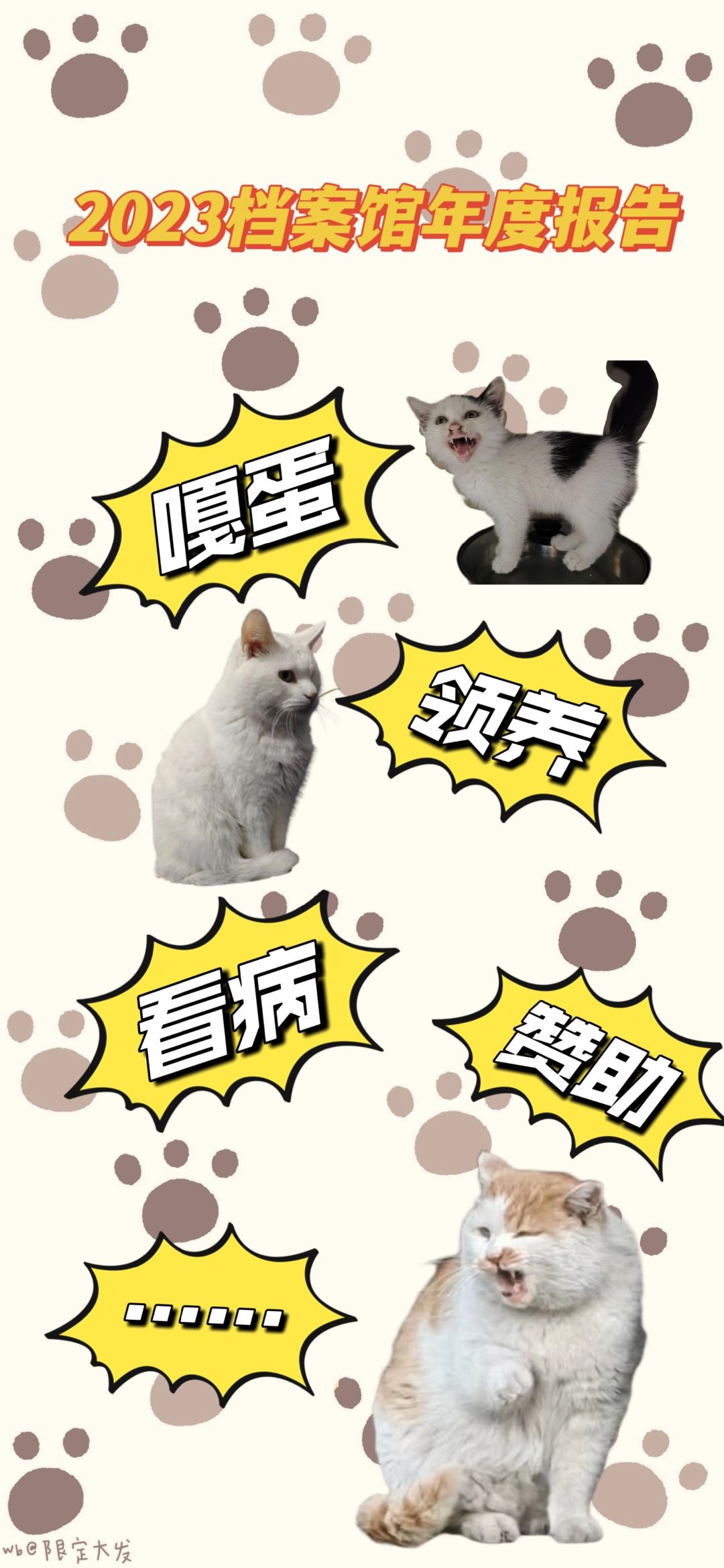 2023猫猫侠年度报告！
