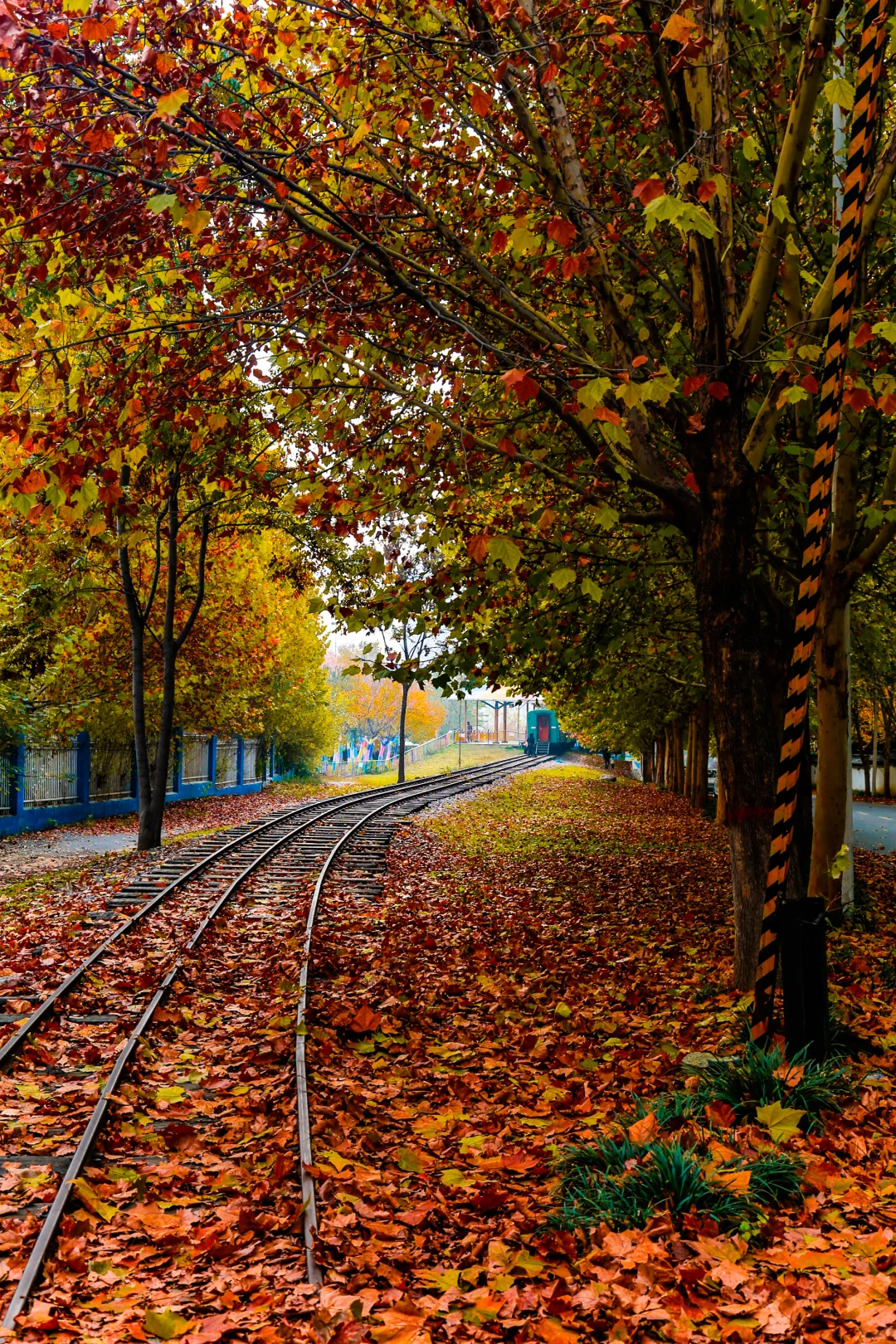 🚇10号线直达…🍂浪漫小众公园