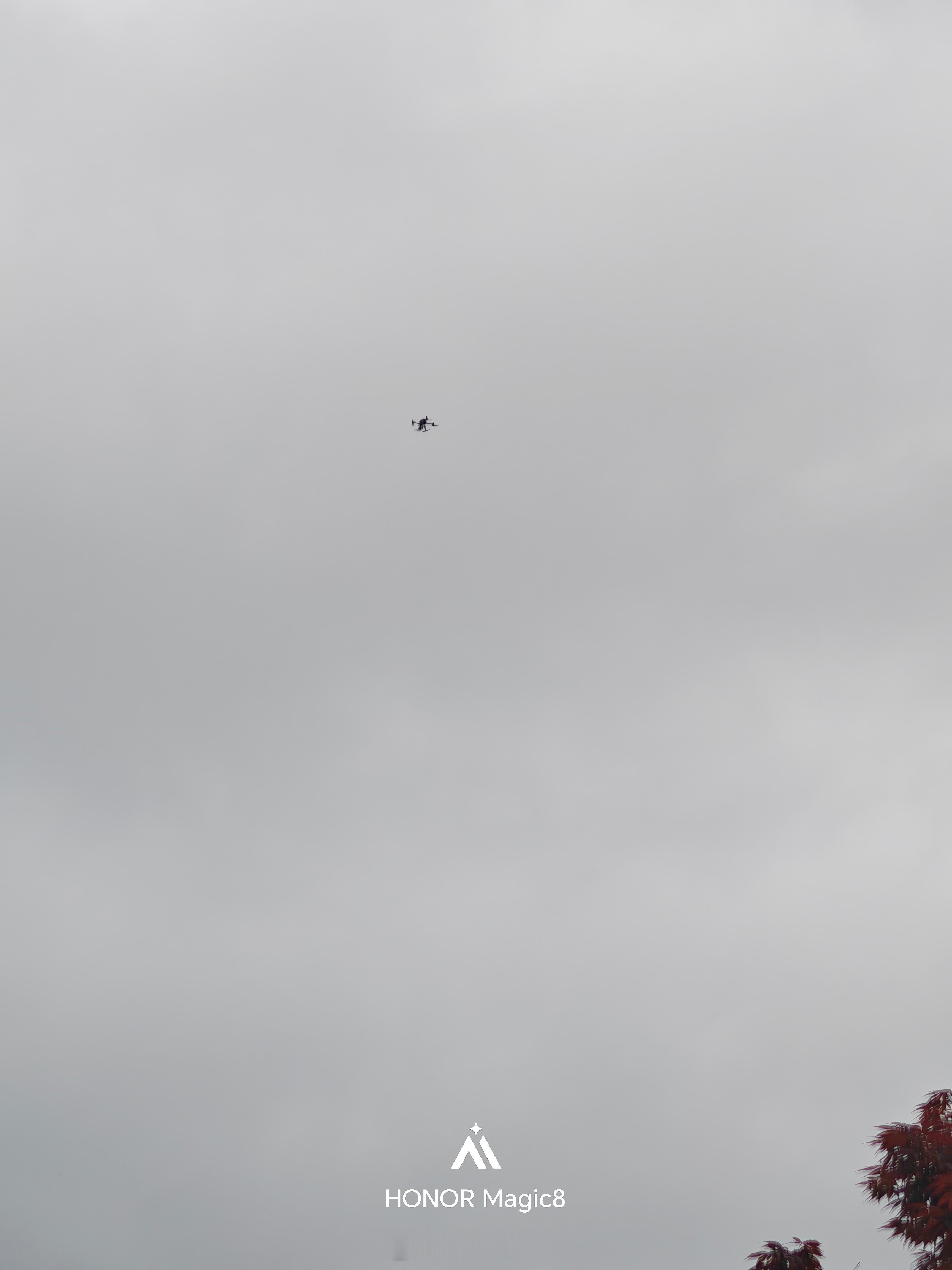 这两天忽然破30℃，真的是热晕了明天又降温…真的是过山车。最难受的是床，热不热，