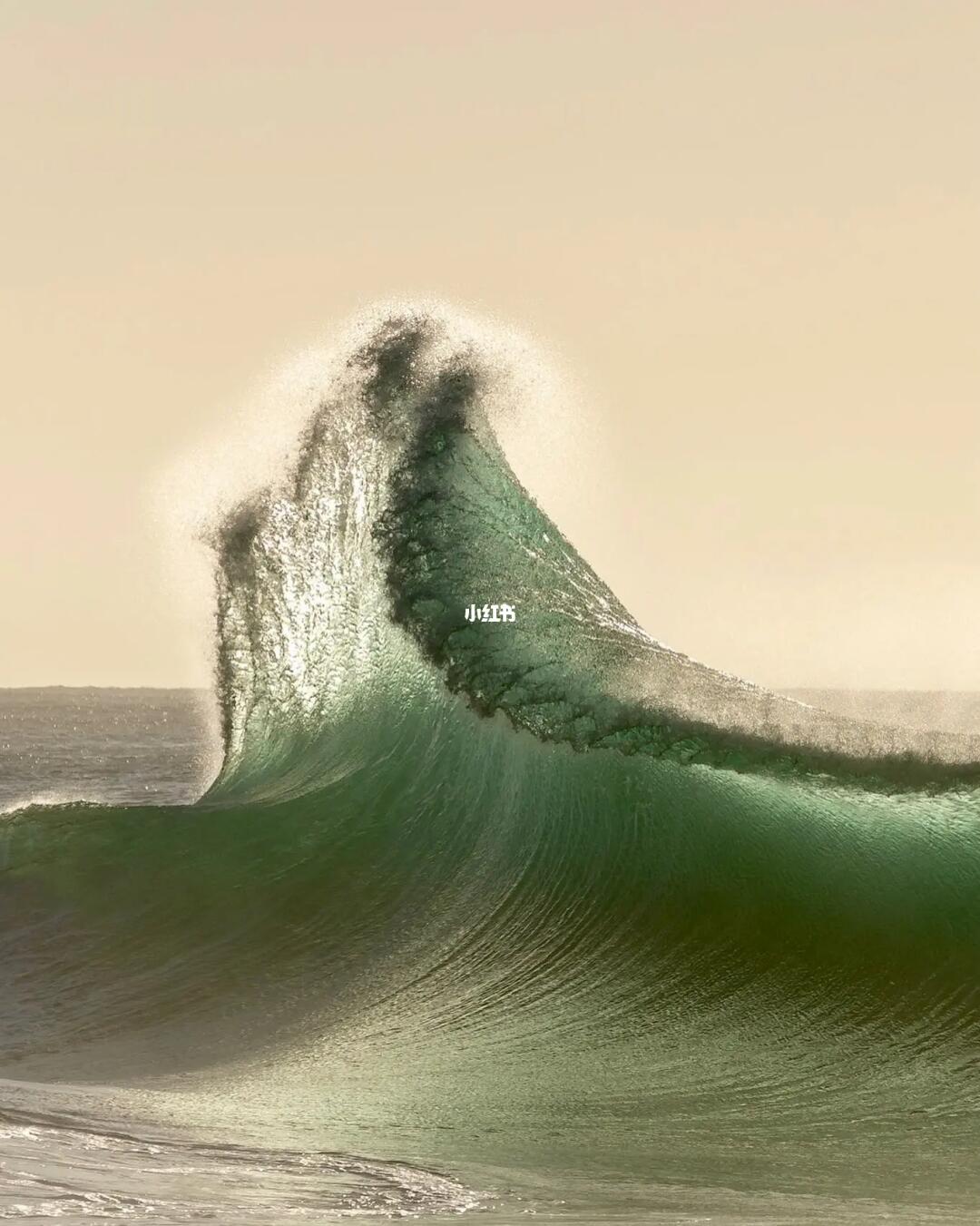 审美提升|每天认识一位摄影大师219