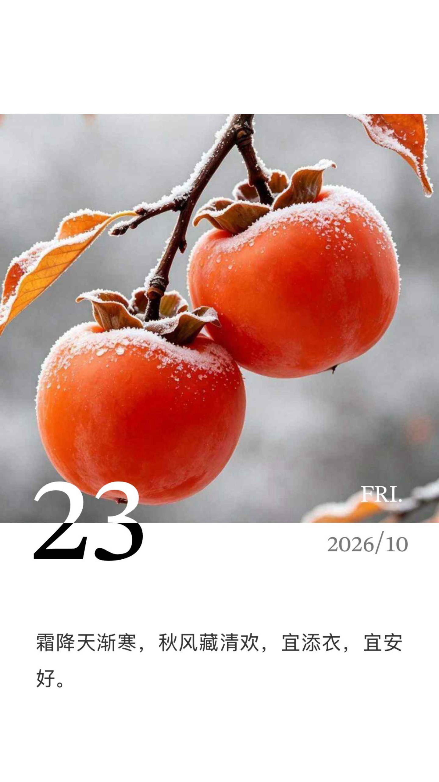 霜降好柿成“霜”，喜从天“降”。霜降秋将尽，柿红冬欲来。♡杜杜说‎ ​​​
