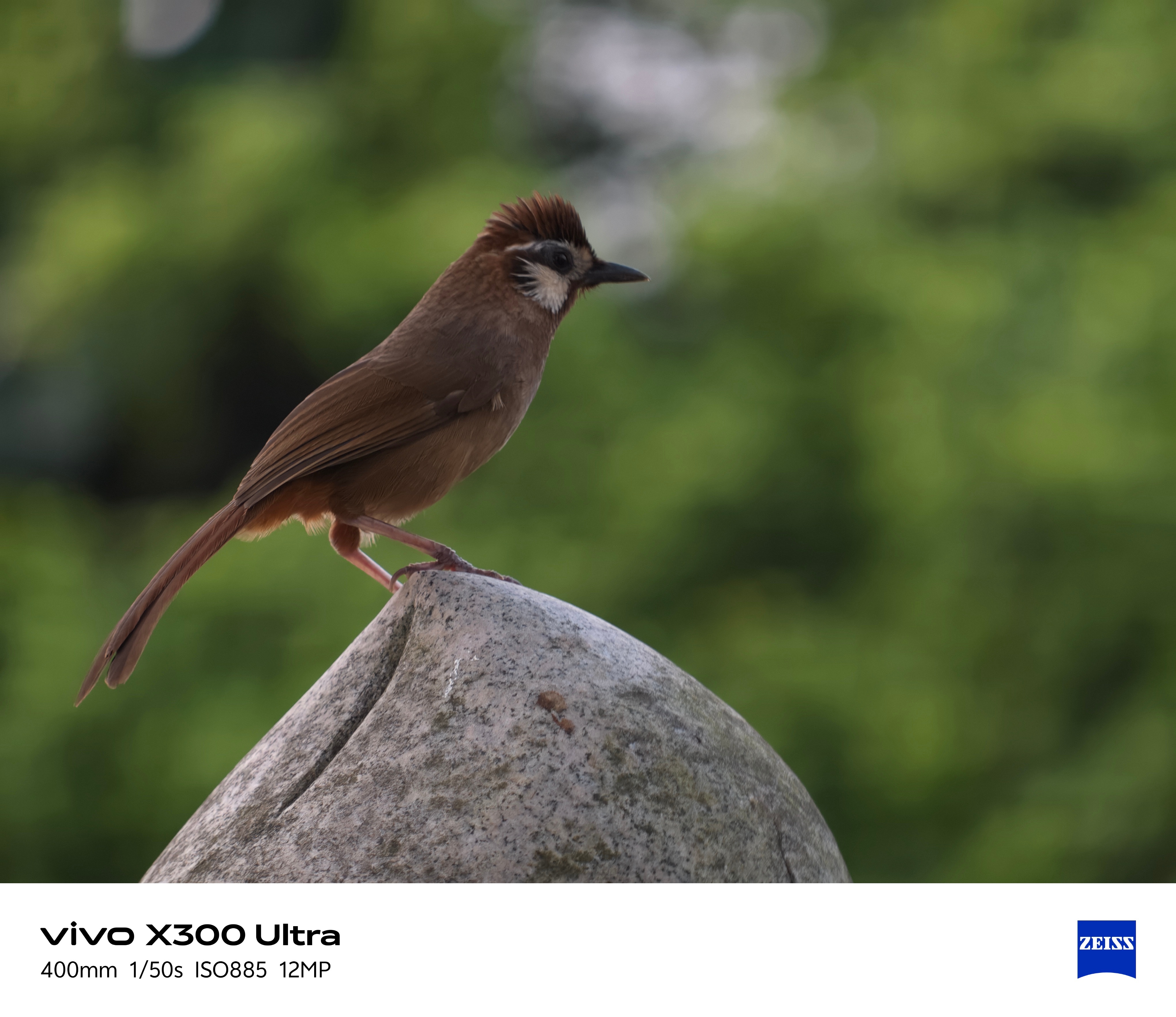 x300ultra随手一拍，感觉怎么样