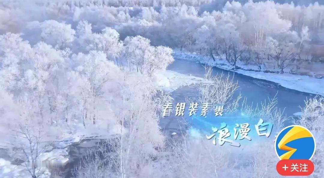 哦
银装素裹是你的符号
雪花是你开往冬天的列车
忽如一日春风来
千树万树梨花开