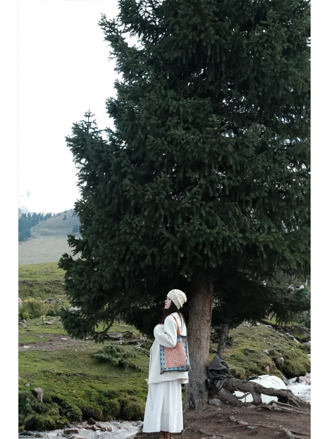 10.4新疆那拉提🏔️🍂🌳还绿着！