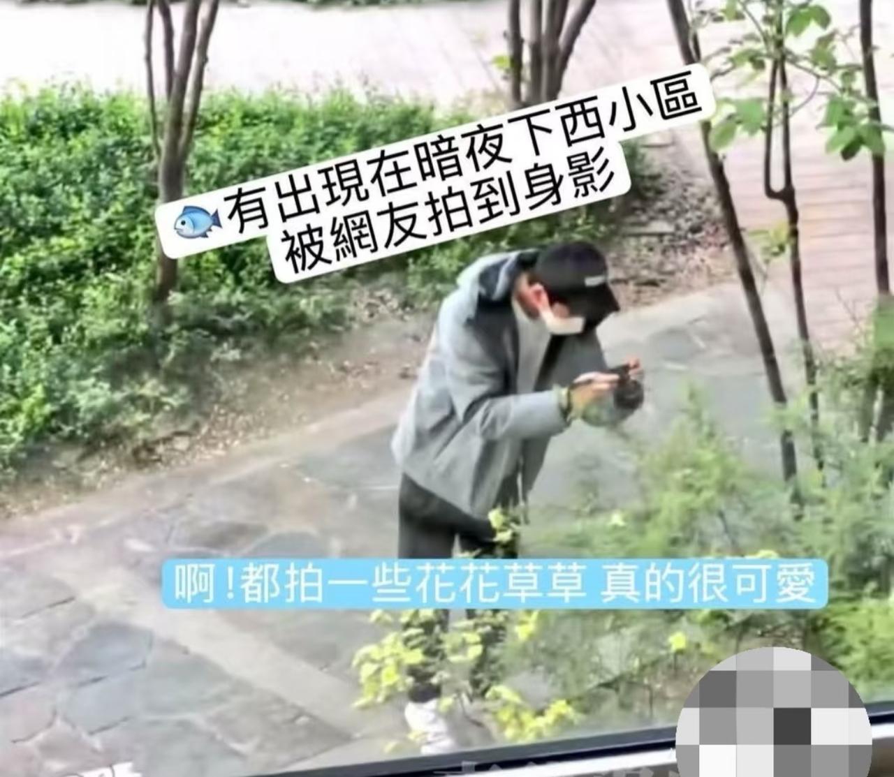 小鱼真是一个热爱生活的人，

平时总喜欢记录下生活的点点滴滴，

有网友拍摄到，