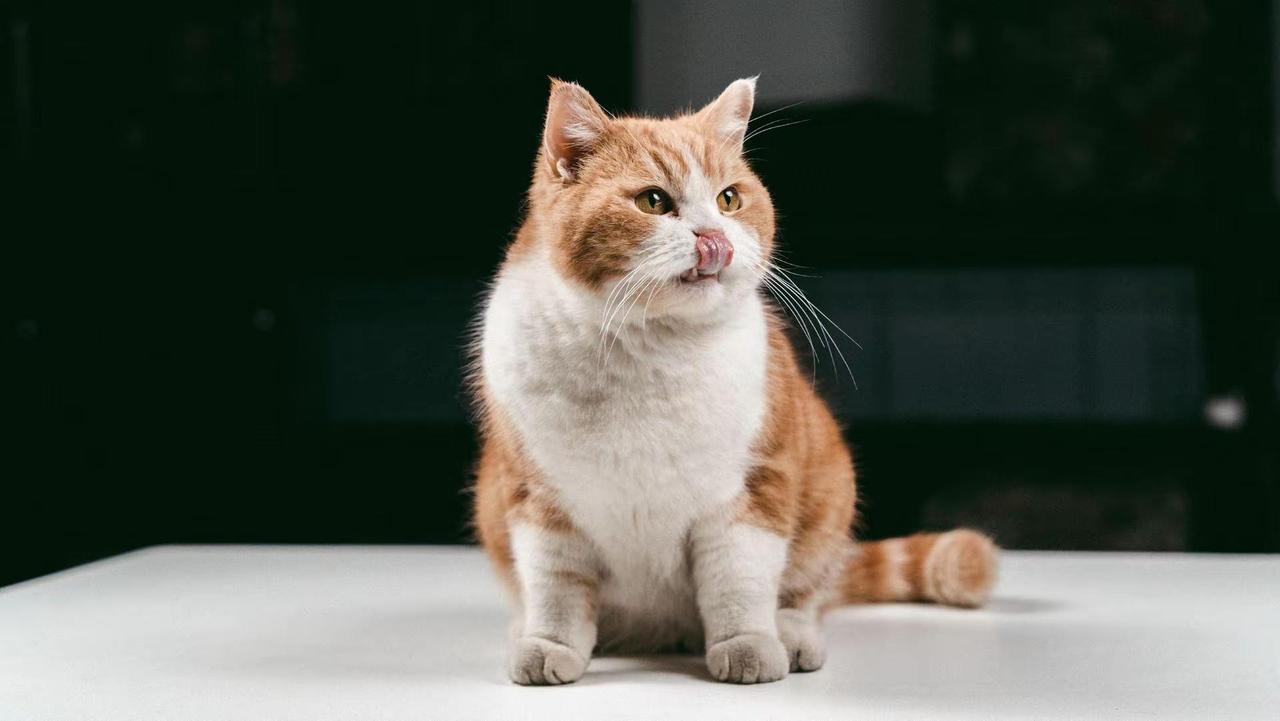 不喧哗，自有力量。战术装备