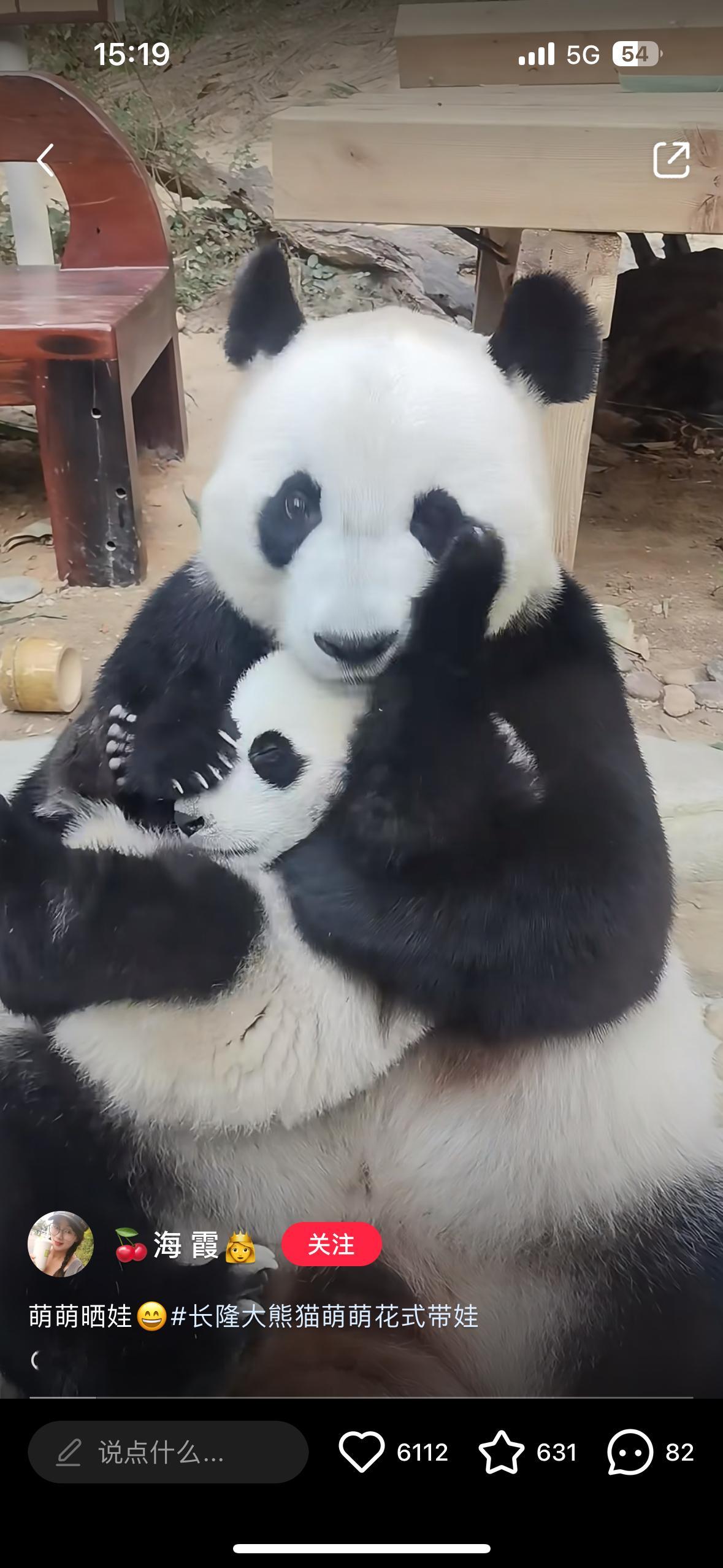 萌萌带崽 