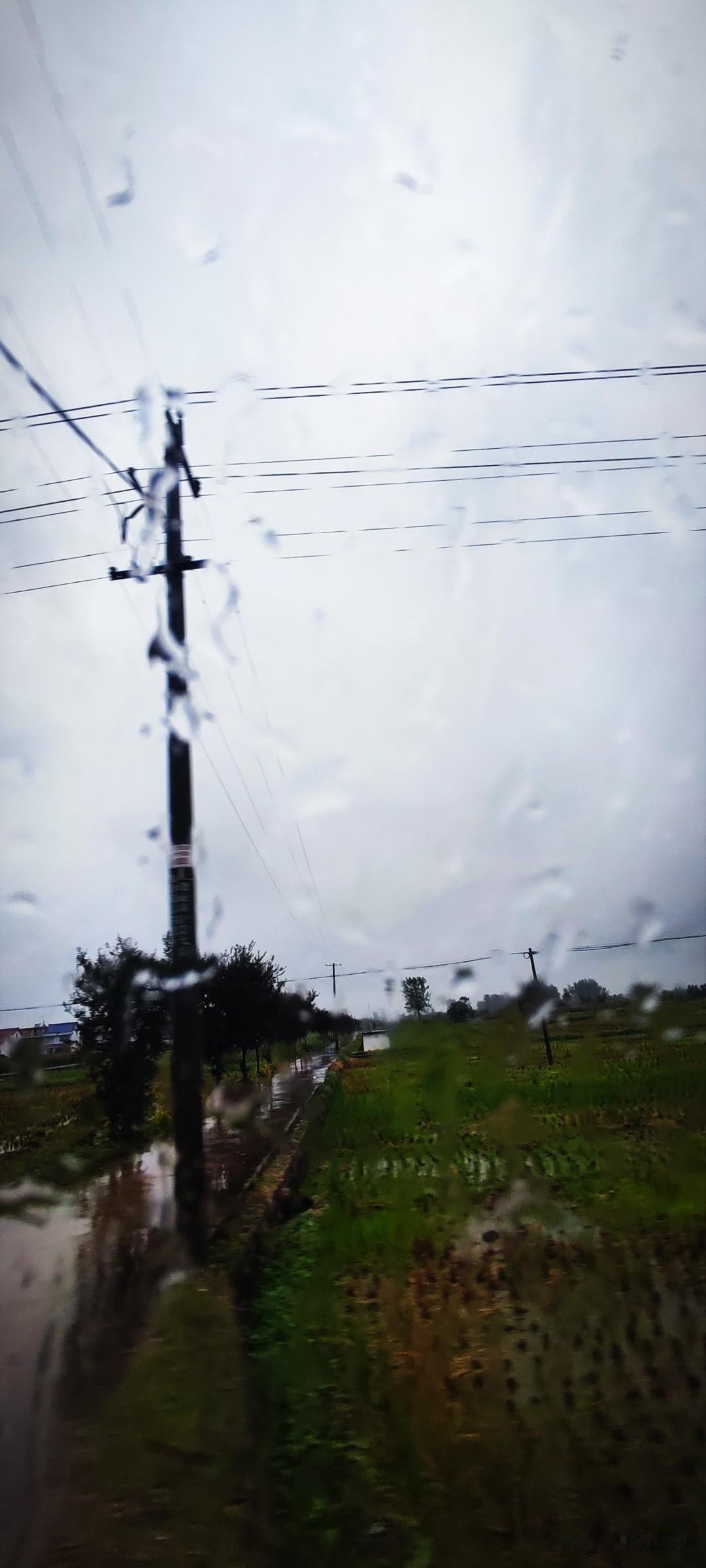 晒图笔记大赛清晨，闹钟响了，窗外的雨声不急不缓。今天是2025年的最后一天，真冷