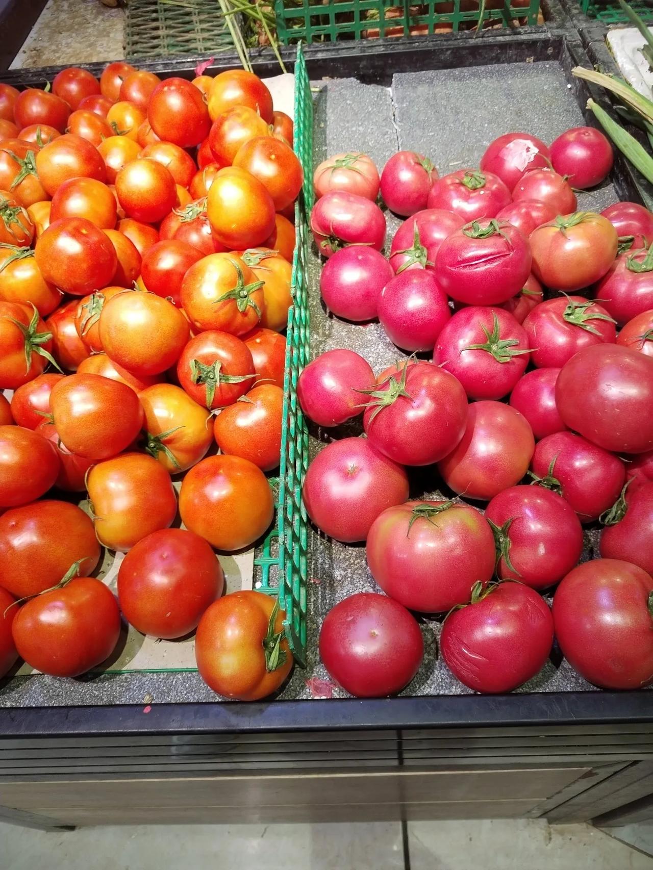 广东阳江。
阳江这菜价，简直离谱！
这几个歪瓜裂枣的蕃茄，7块多一斤！[震惊][