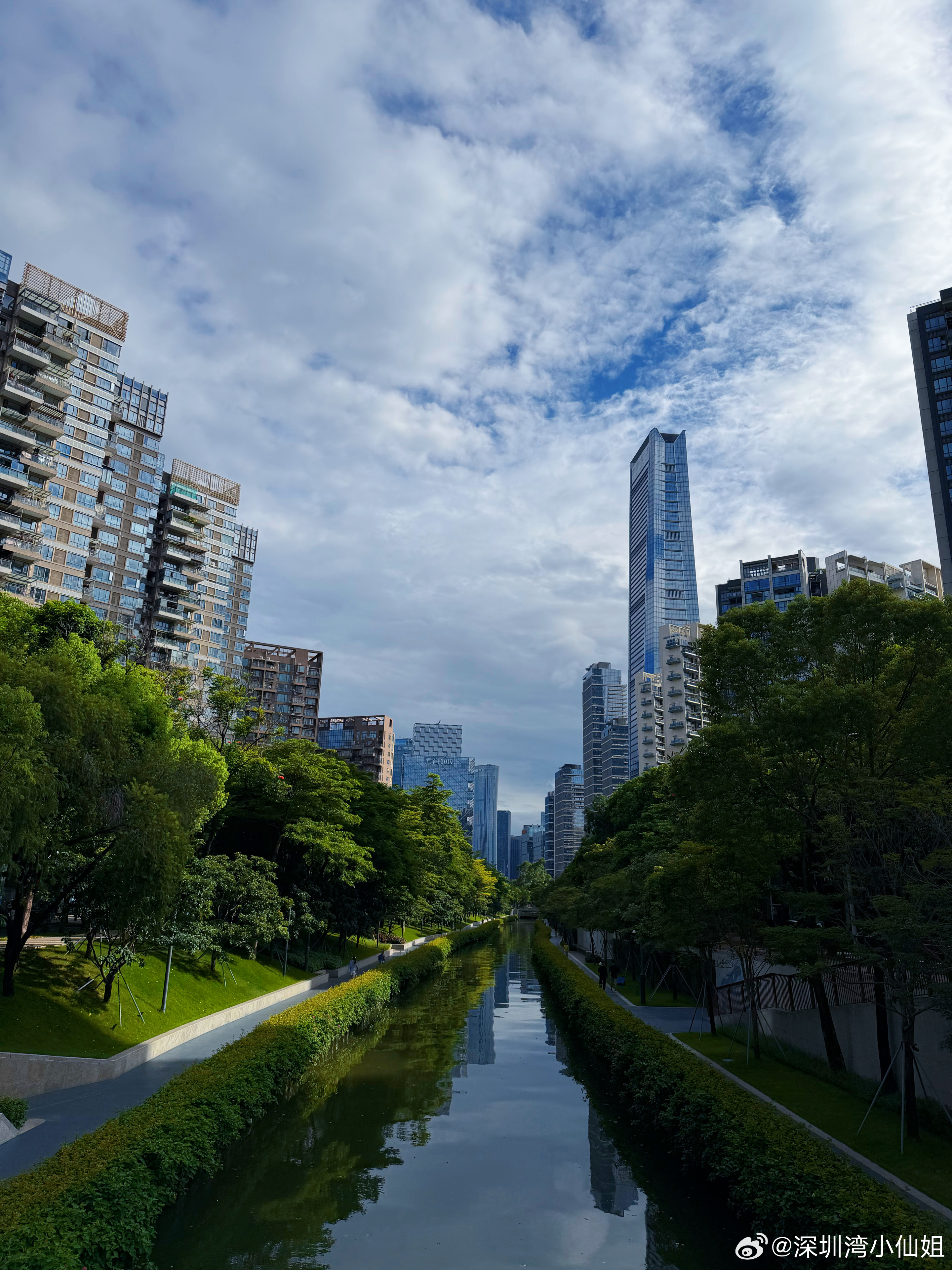 ｜深圳生活｜早上8:00的好天气。 
