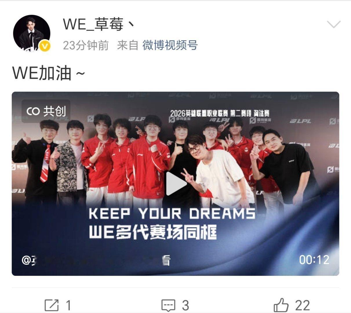 英雄联盟 若风:已经成为列祖列宗中的一部分了， 如果是这样，我们的保佑应该有用吧