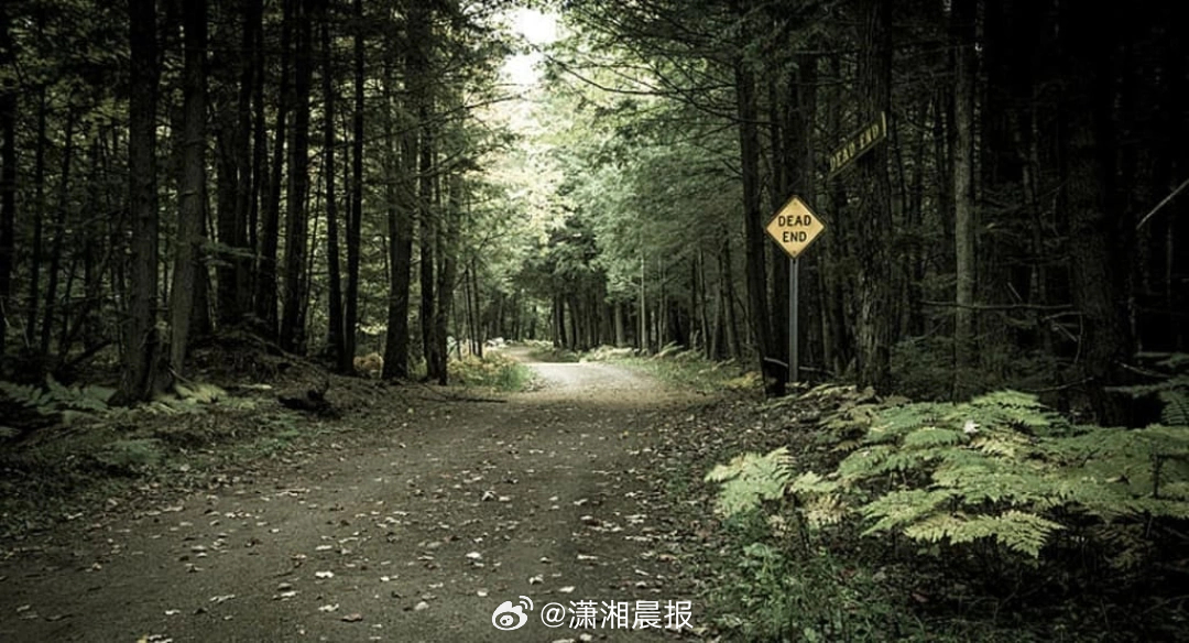 【#美国一小镇居民离奇死亡被全面封锁#】近日，媒体披露，美国康涅狄格州康沃尔郡的