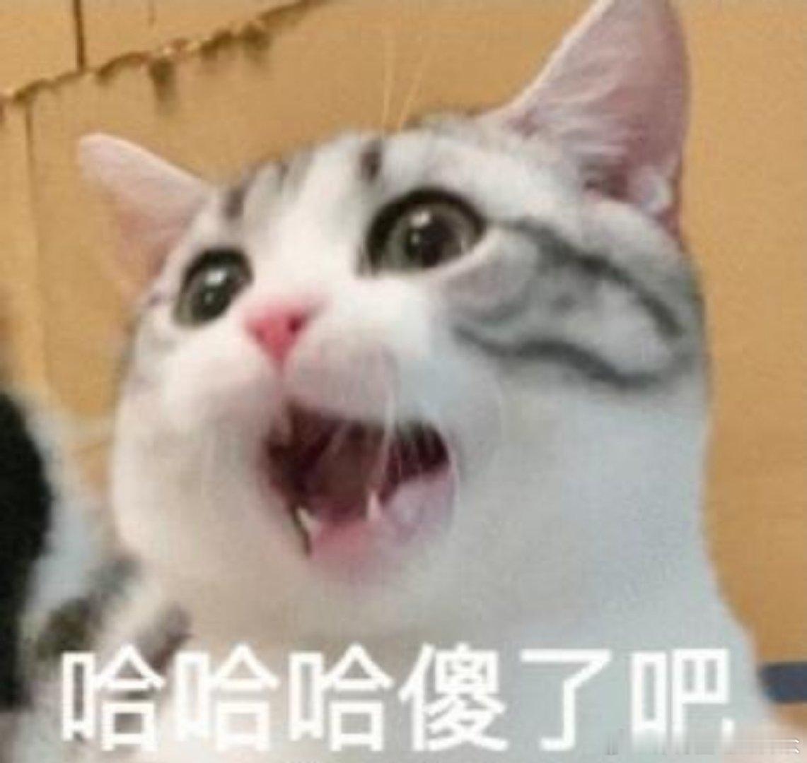 忘说了，决胜局8-4，一直以来都是个坎儿[捂嘴哭]神奇的比分 ​ cr：排球评论