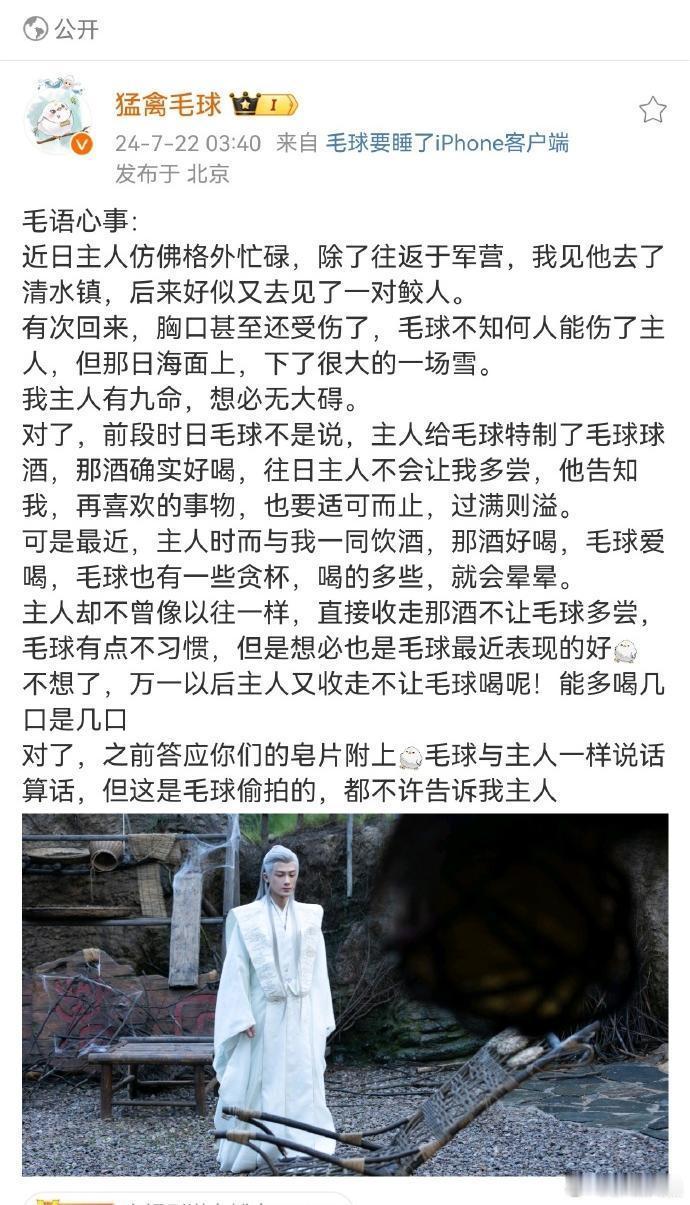 #有相柳的地方才是毛球的家##相柳的遗物不多毛球算一件# ​​​ 相柳走得无人知