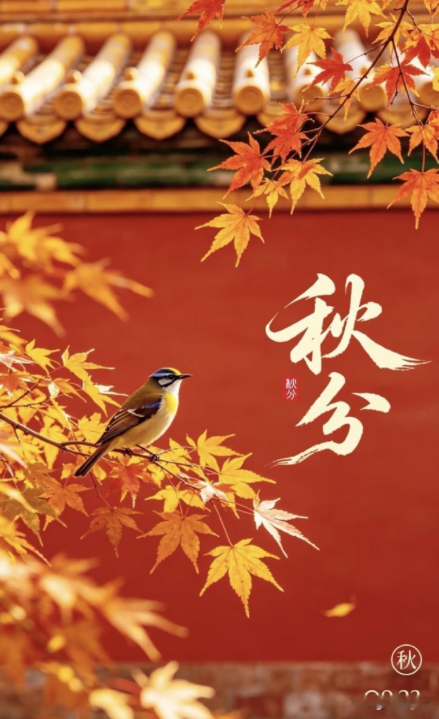今日秋分是“凶日”，牢记：1不赶、2不做、3不晚、4不碰
 
民间俗语云“秋分寒