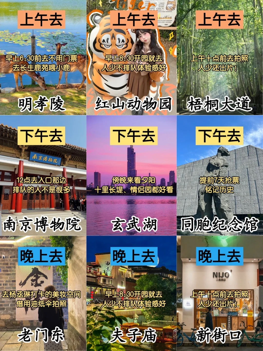 去了南京6次总结，真心建议要去的姐妹👭……