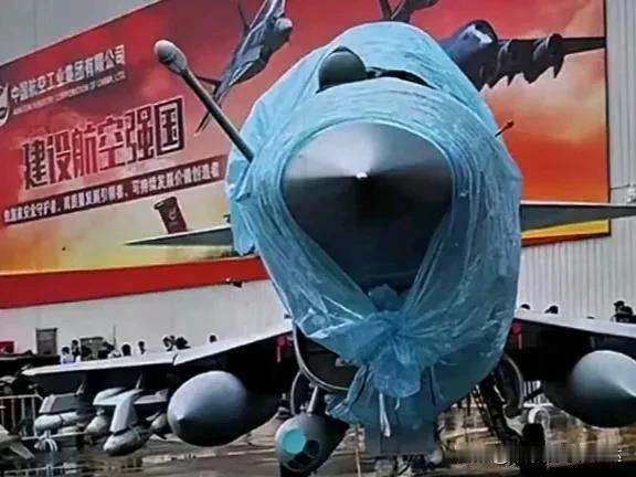 歼10：回去告诉俺娘，俺不是孬种!
         在国内，你们喊我小十我不挑