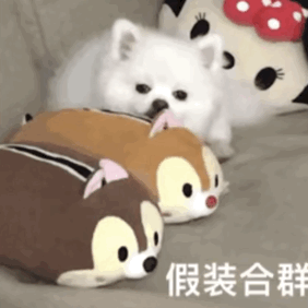 家族关系为什么贬值了 有些连“家族群”都没有吧！甚至可能有，而唯独你家没进～[d