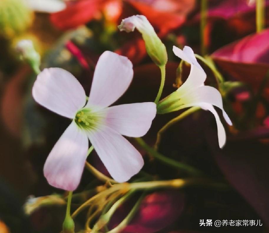 无聊时最爱做的事，不再是刷视频、闲逛，而是沉浸式的写头条。
 
一拿起手机开始构