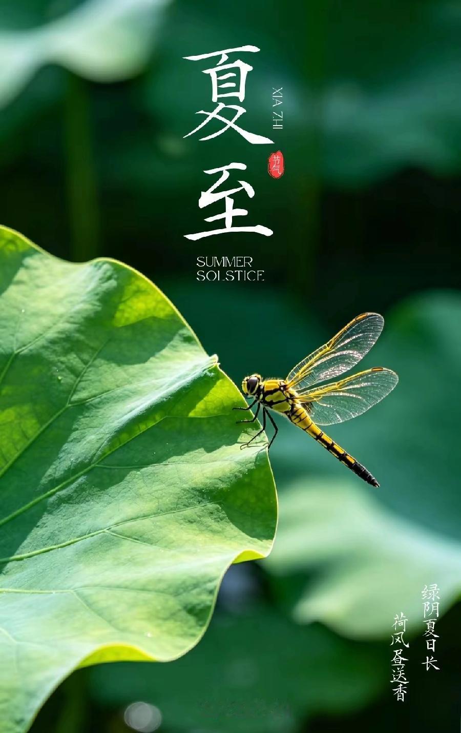 端午刚过，假期最后一天，夏至又到了！夏至是第 10 个节气，马上就是小暑、大暑，