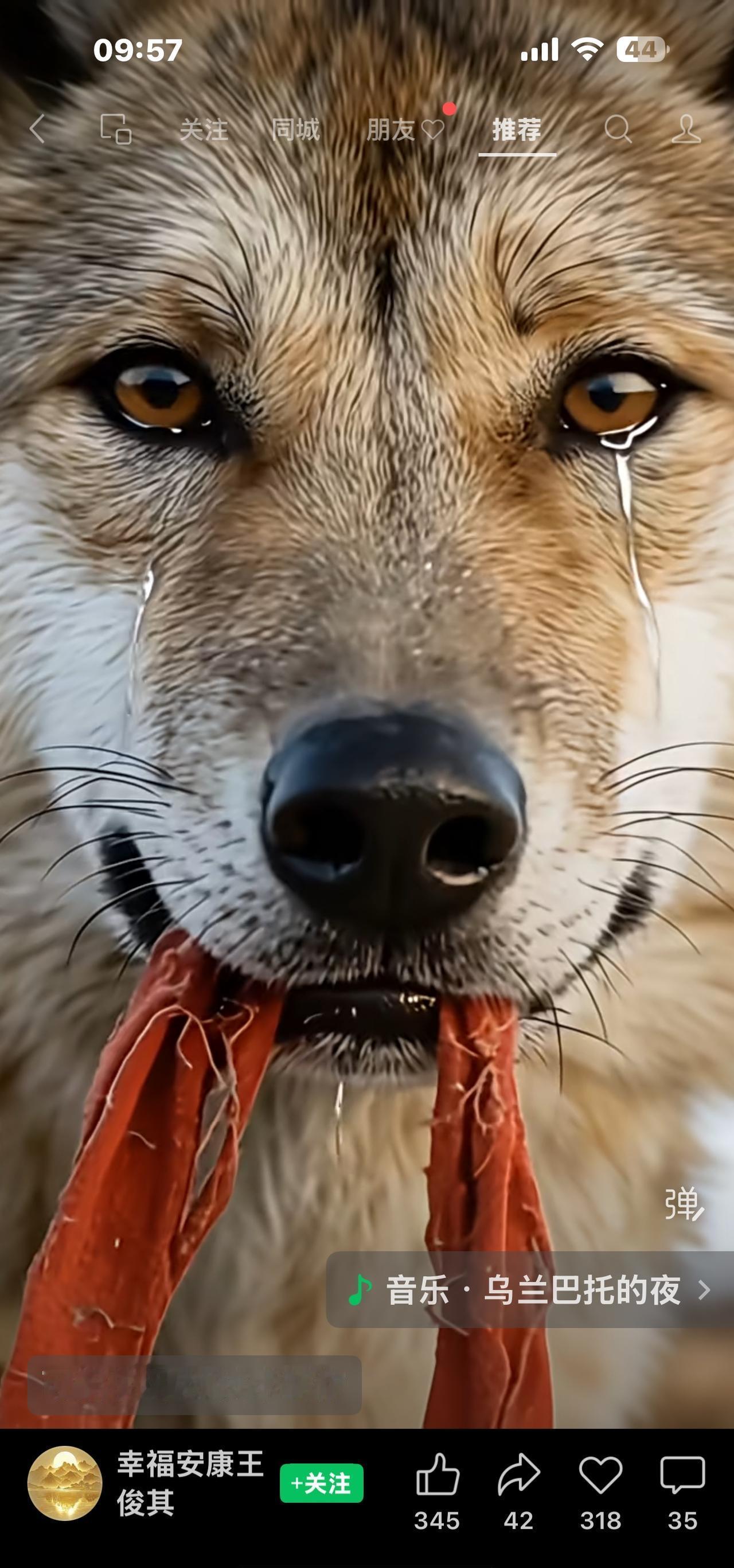 你看懂了吗？
猎杀野狼的没事，救狼的反被扑上来撕咬。
这就是正在发生的事。
有人