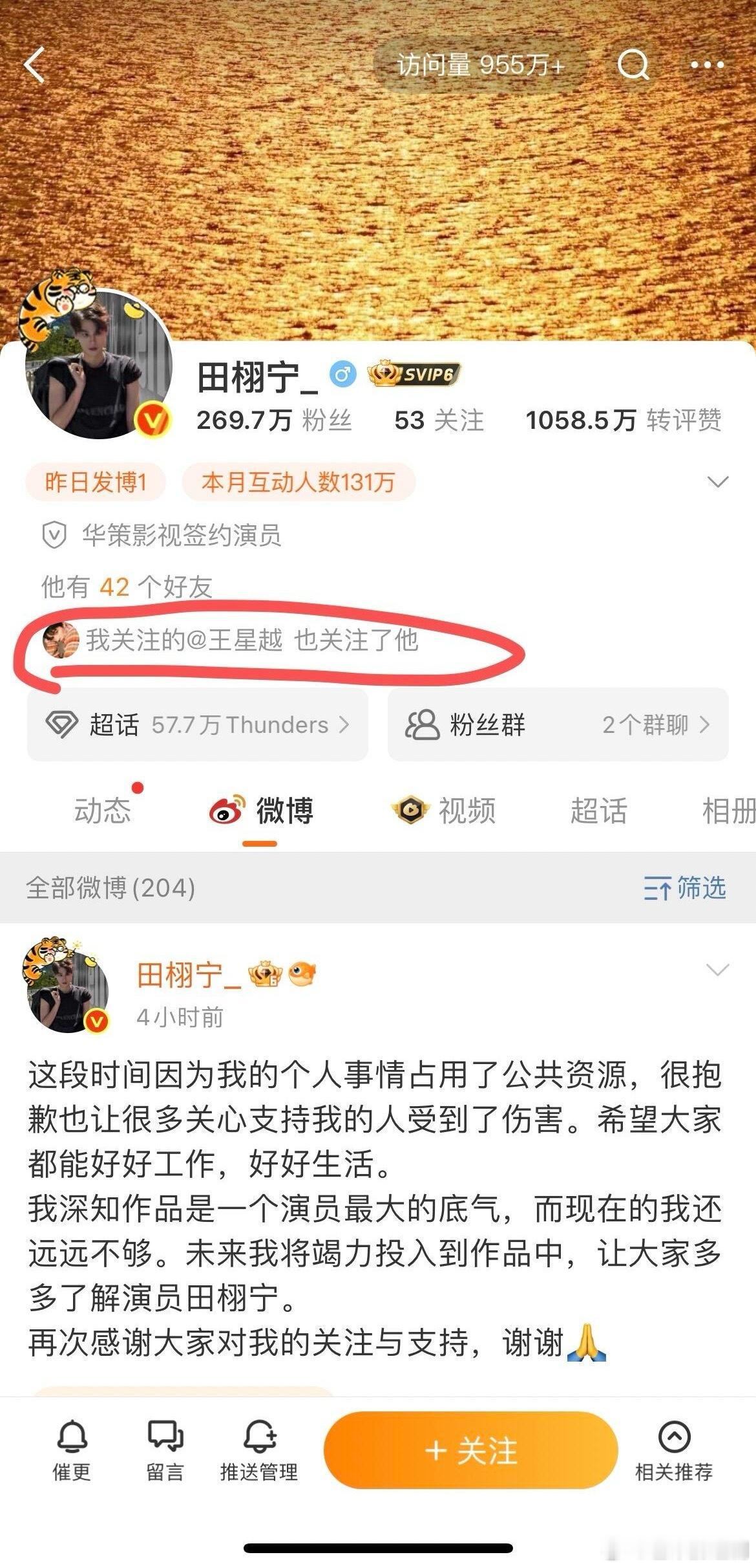 王星越关注了田栩宁 ​​​