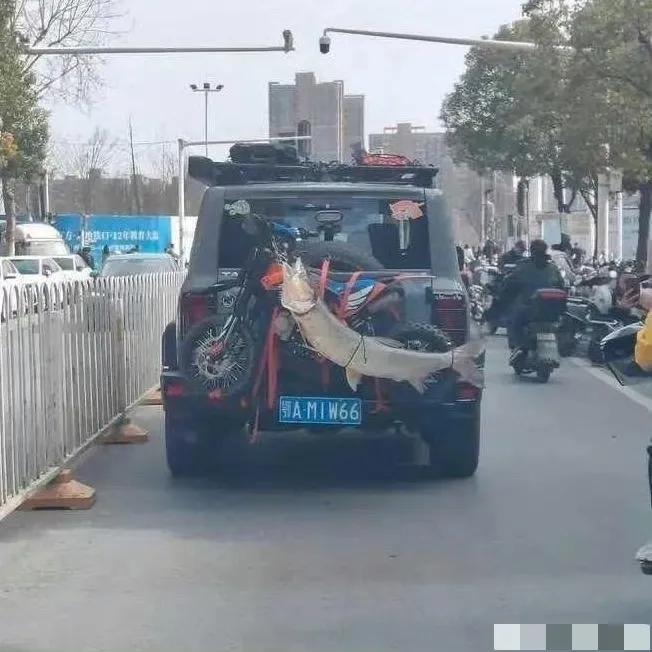 司机是不是特别想被拍.......这车看起来确实不一般
