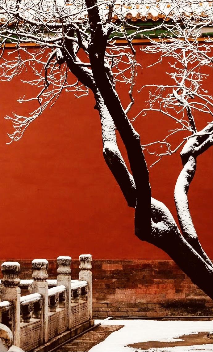 ❄️雪一落就美成了诗
故宫就成了紫禁城！