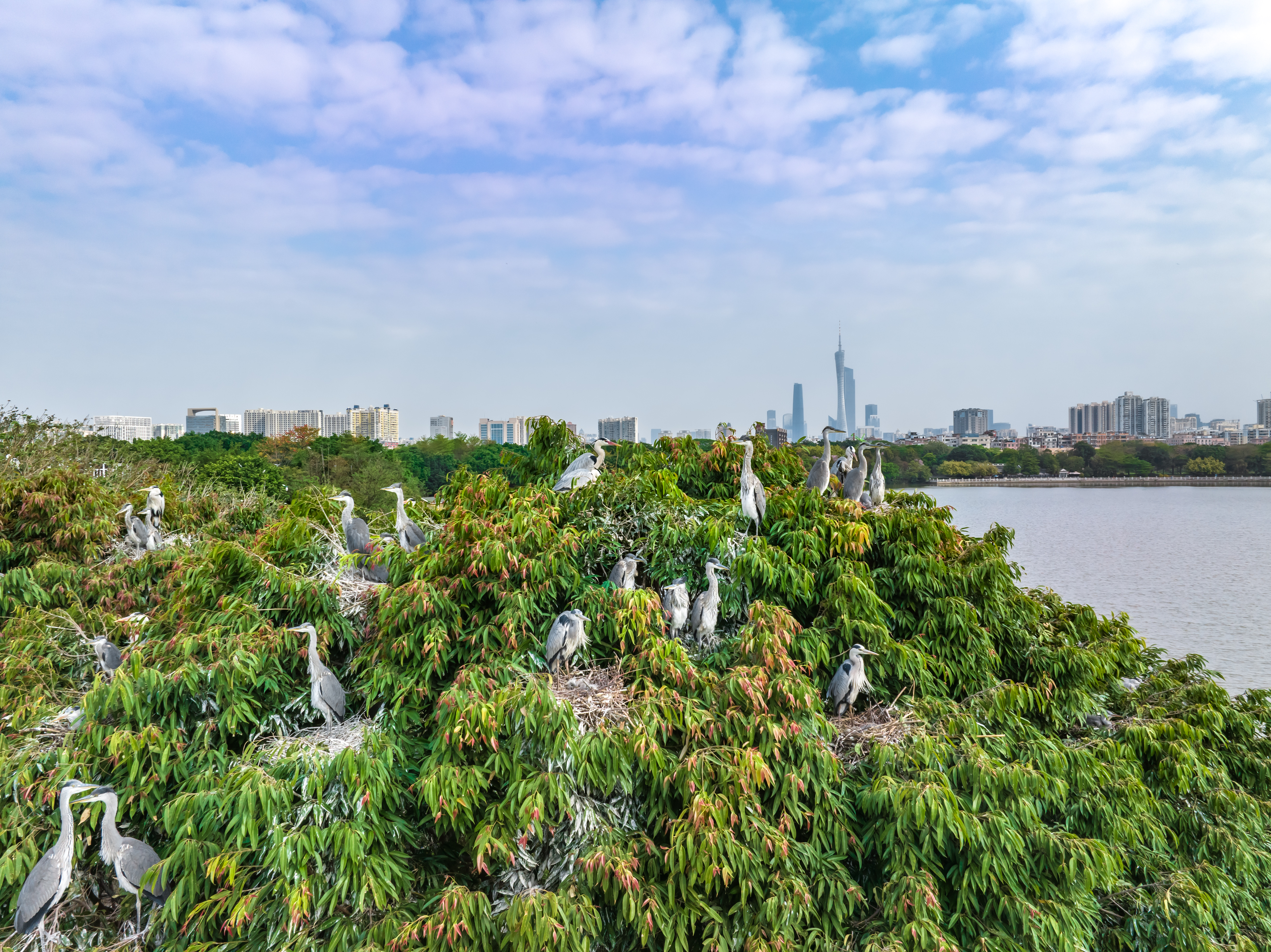 目标2035年全面建成！广州发布美丽广州建设规划纲要