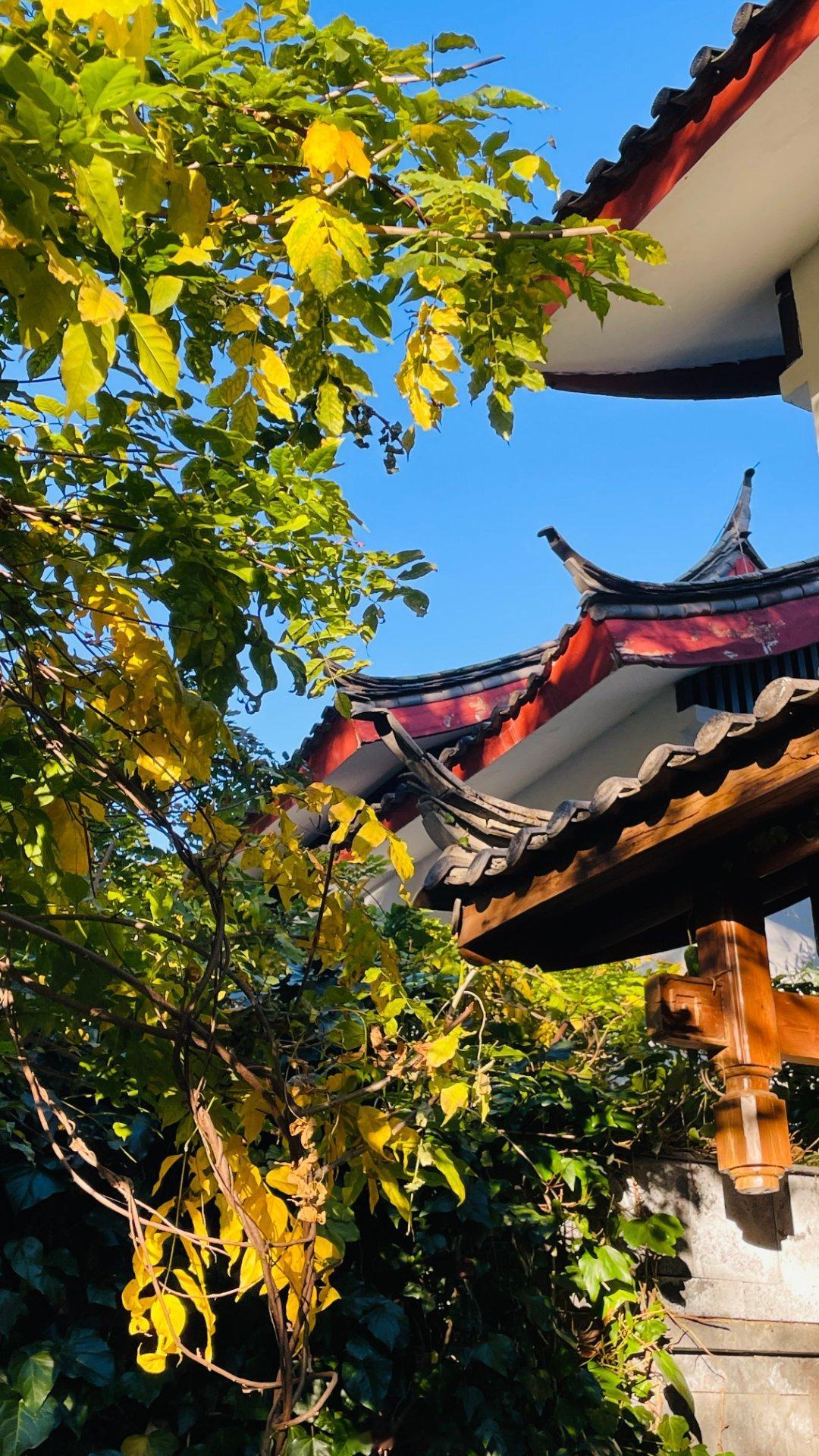 庄生晓梦，云领.梦蝶庄。这一份静奢，静静躺在玉龙脚下。  
