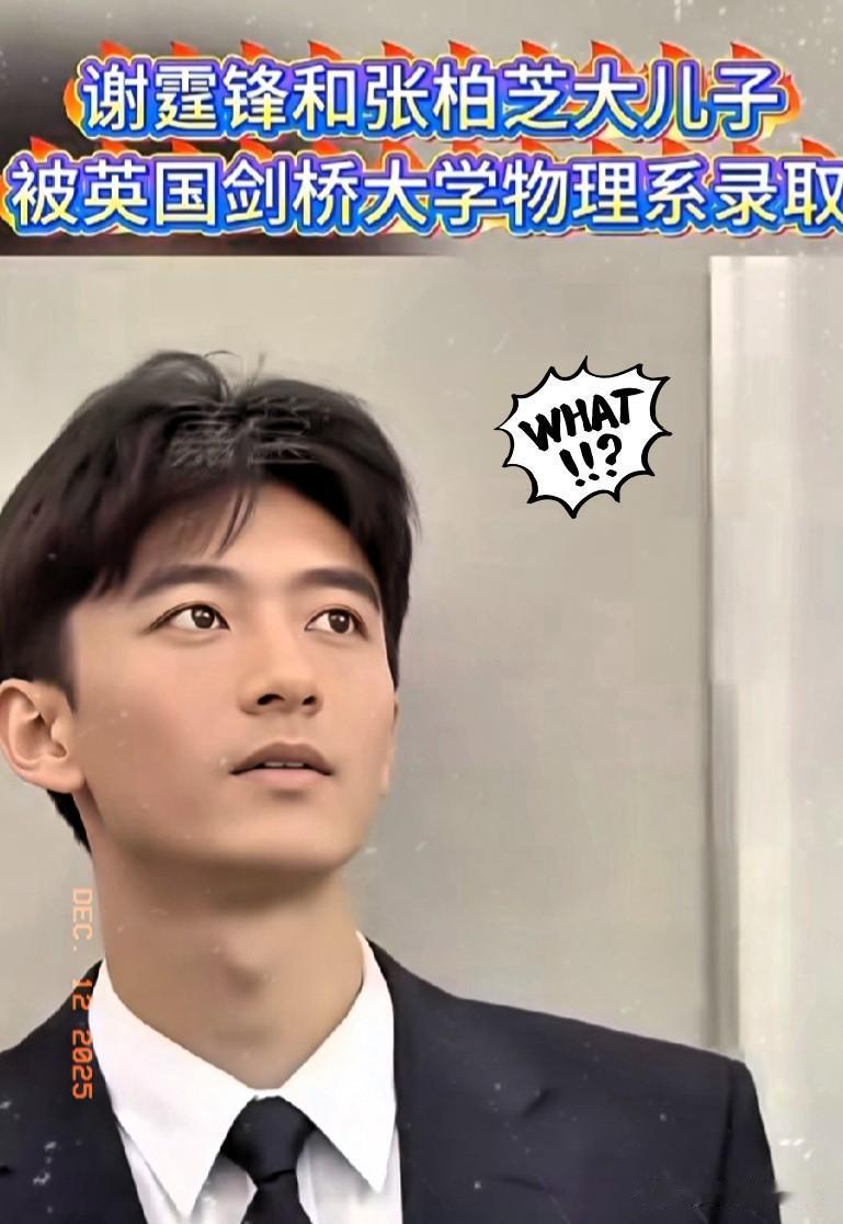张柏芝这一遭遇，
让人彻底看清了谢振轩这个小孩！

本来18岁的他应该是无忧无虑