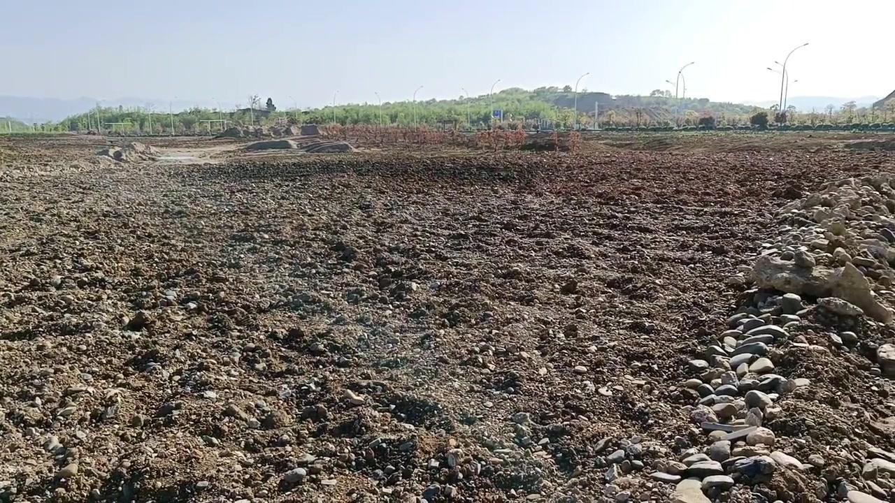 🏞️户外捡石竟遇天外来客？好几天没来，周边大变样了呢。这里开始绿化植树，有些大