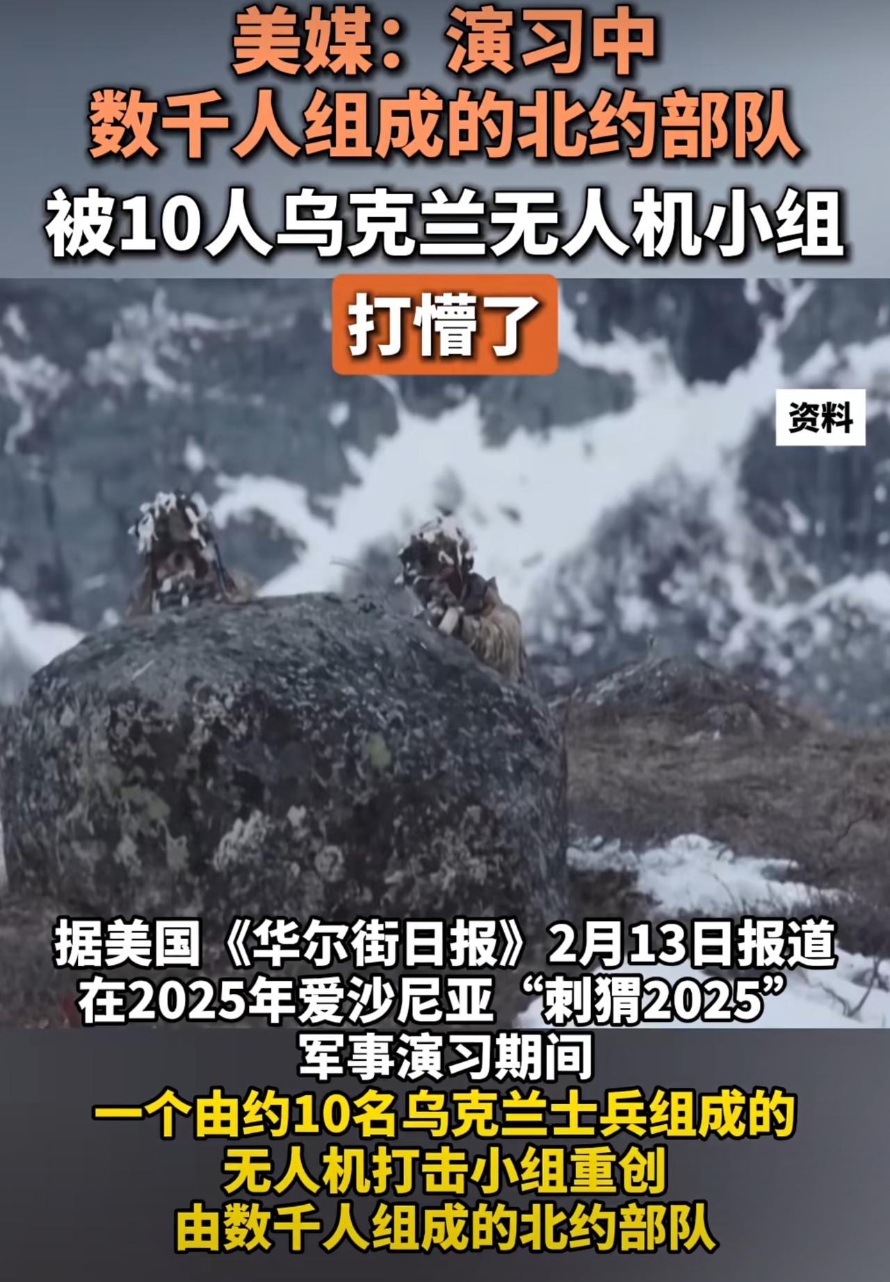 据美国《华尔街日报》报道，在北约“刺猬2025”军事演习中，一支由英国和爱沙尼亚