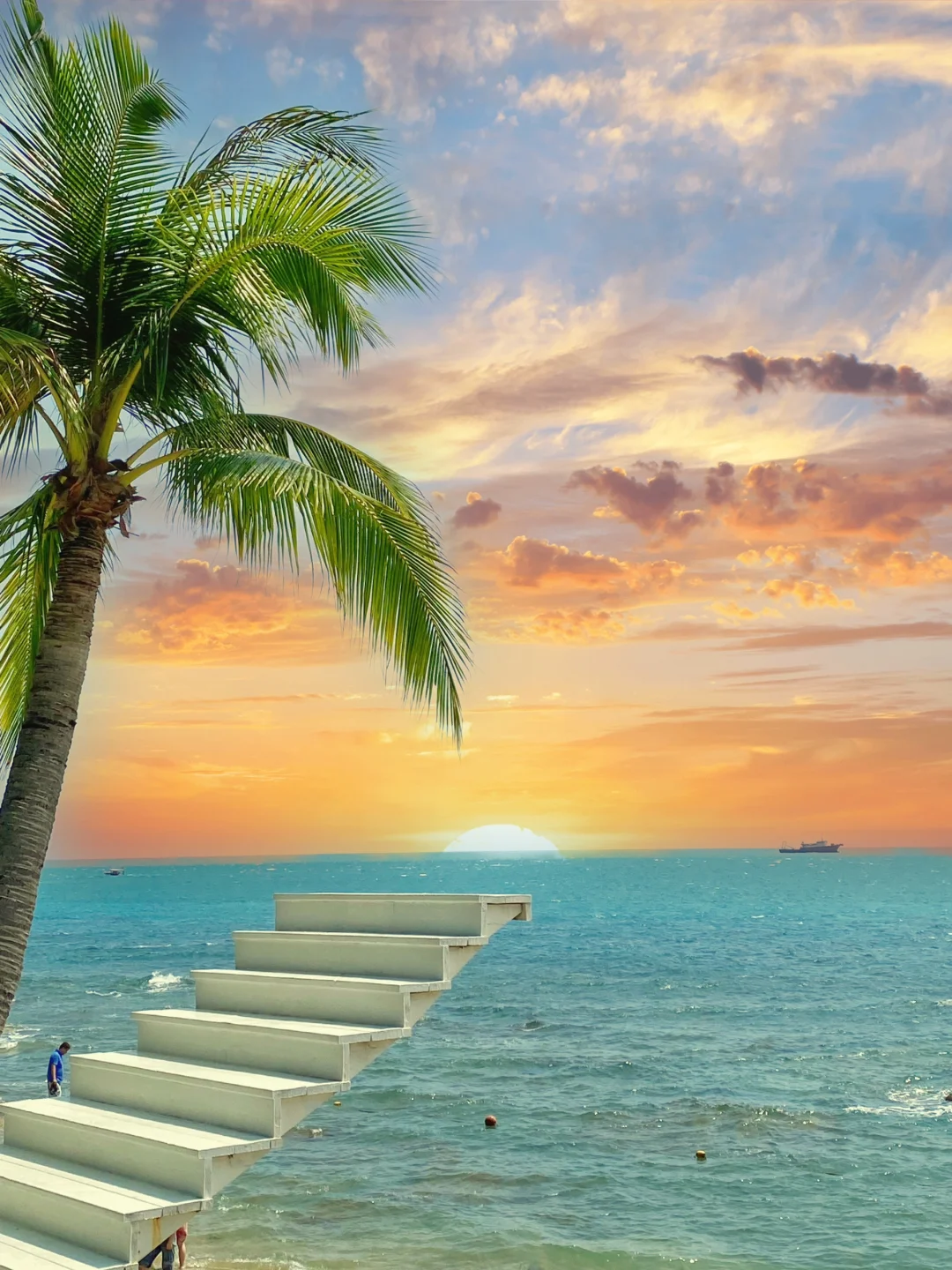 开花了， 你·该来了‼️