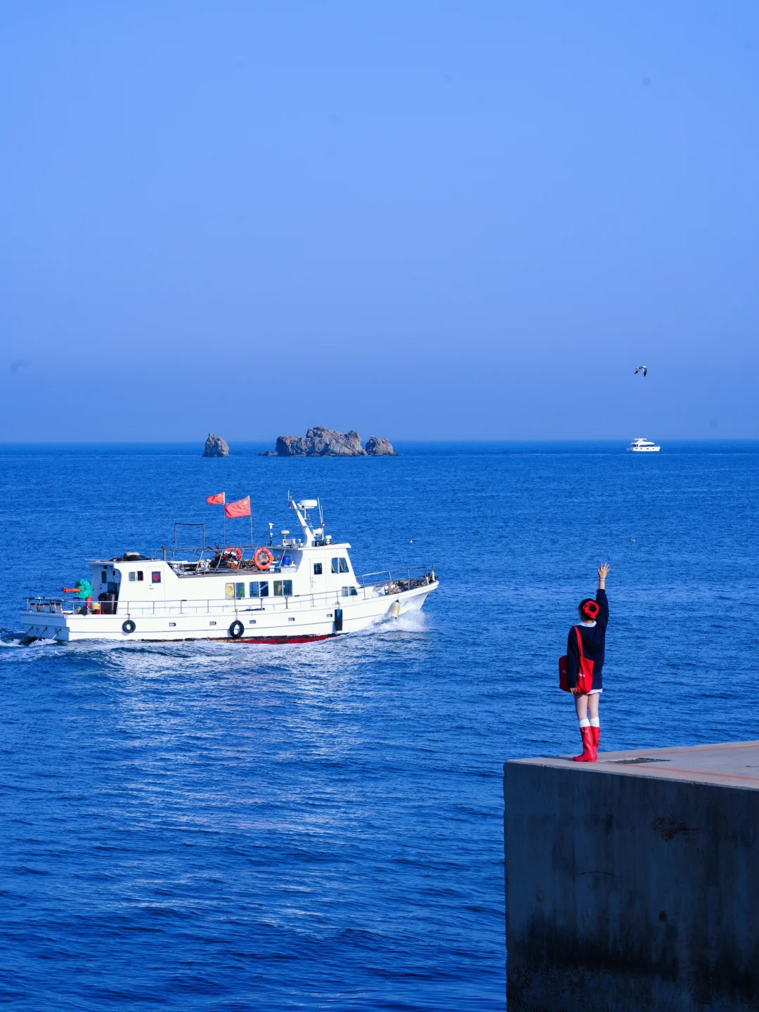 关于我去大连2天打卡18个机位的…旅行攻略！！