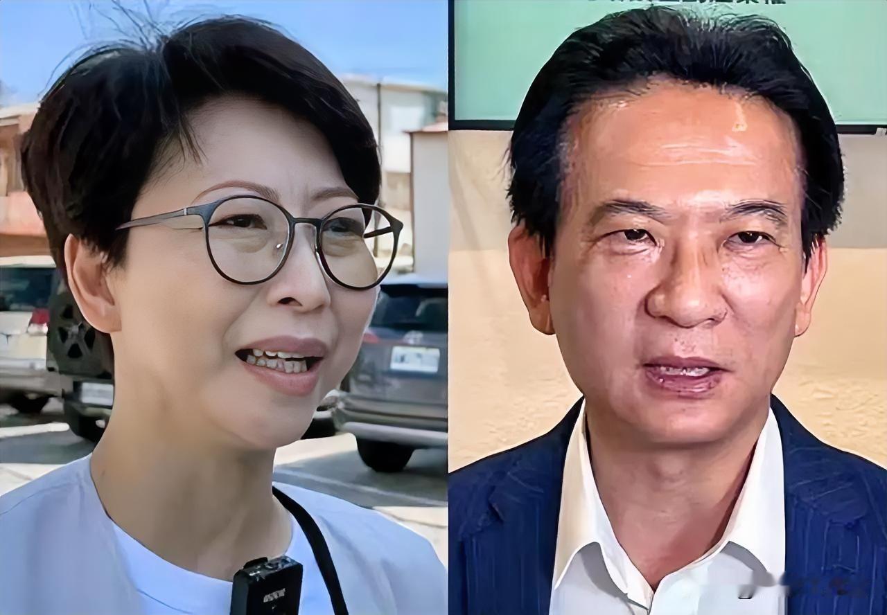 绿营内斗愈演愈烈！台南选战“换妃”声浪炸锅，王鸿薇爆猛料，林俊宪不等了，谢龙介机